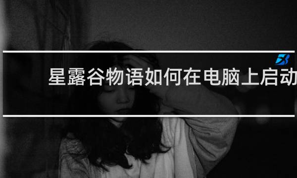 星露谷物语如何在电脑上启动