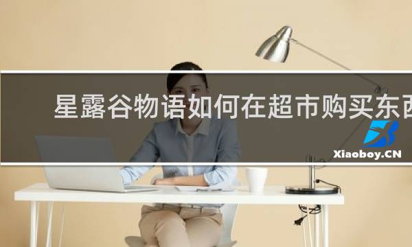 星露谷物语如何在超市购买东西
