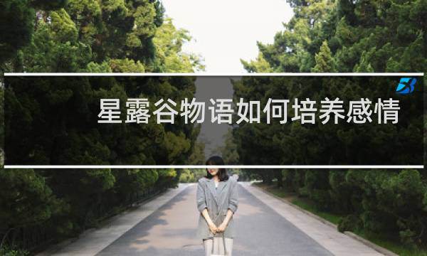 星露谷物语如何培养感情