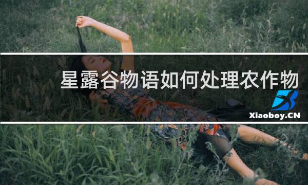 星露谷物语如何处理农作物