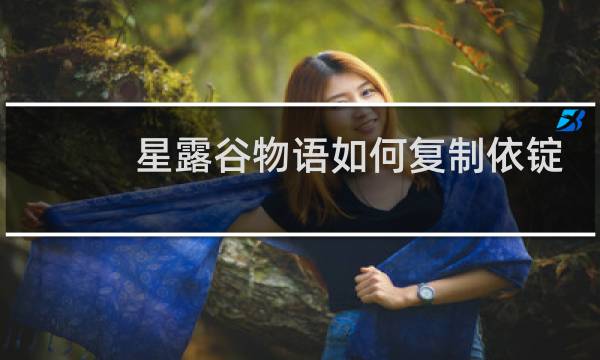 星露谷物语如何复制依锭