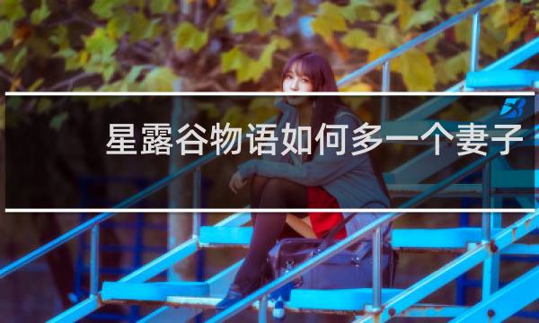 星露谷物语如何多一个妻子