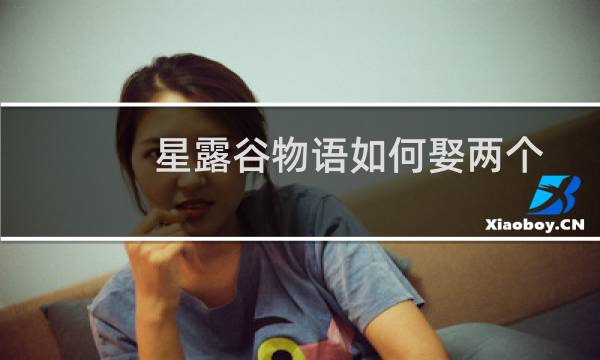 星露谷物语如何娶两个