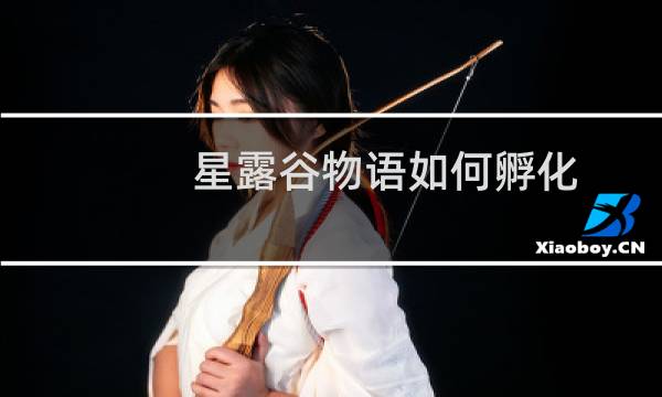 星露谷物语如何孵化