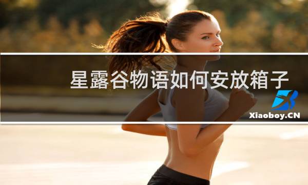 星露谷物语如何安放箱子