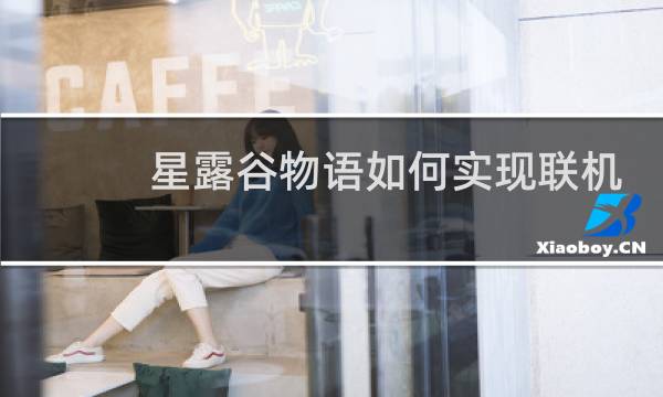 星露谷物语如何实现联机