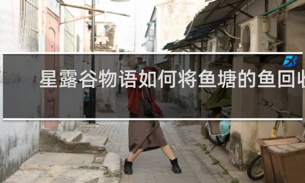 星露谷物语如何将鱼塘的鱼回收
