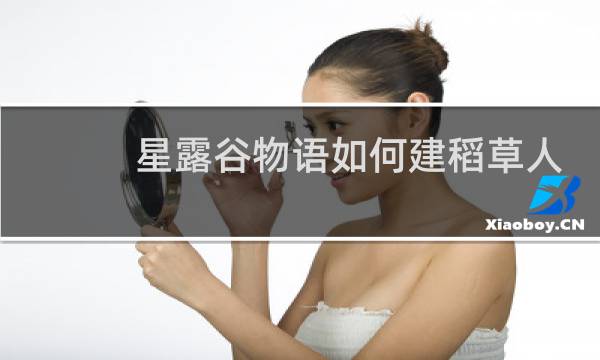 星露谷物语如何建稻草人