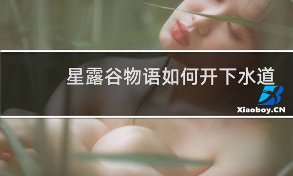 星露谷物语如何开下水道