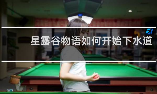 星露谷物语如何开始下水道