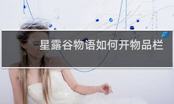 星露谷物语如何开物品栏