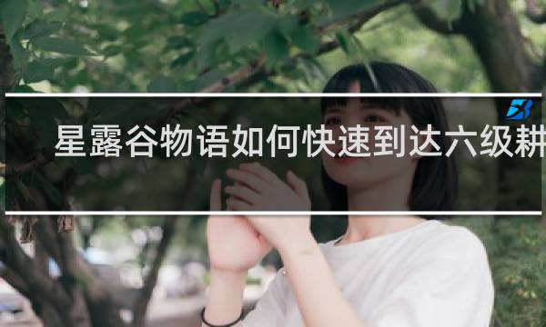星露谷物语如何快速到达六级耕种