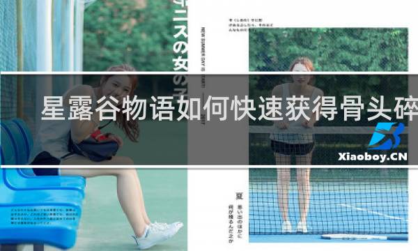 星露谷物语如何快速获得骨头碎片