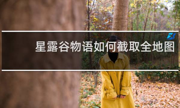 星露谷物语如何截取全地图