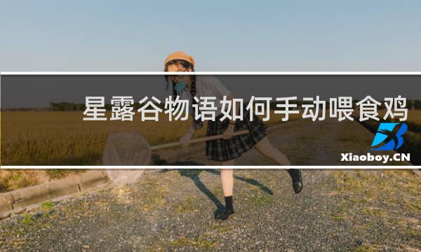 星露谷物语如何手动喂食鸡