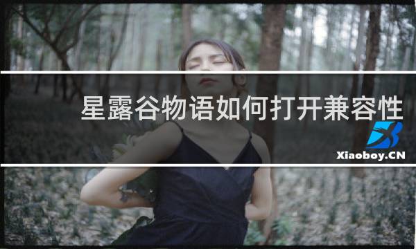 星露谷物语如何打开兼容性