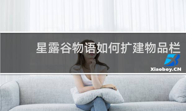 星露谷物语如何扩建物品栏