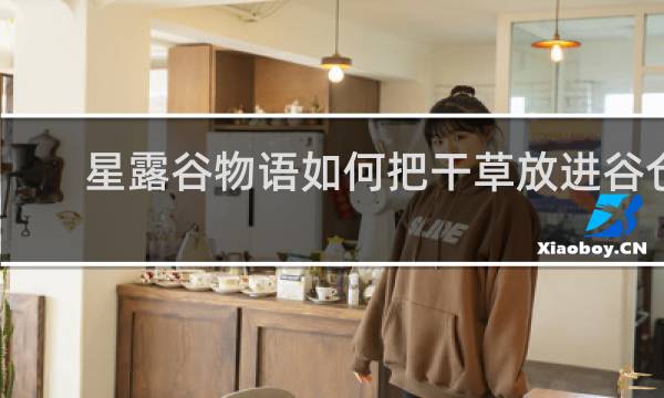 星露谷物语如何把干草放进谷仓