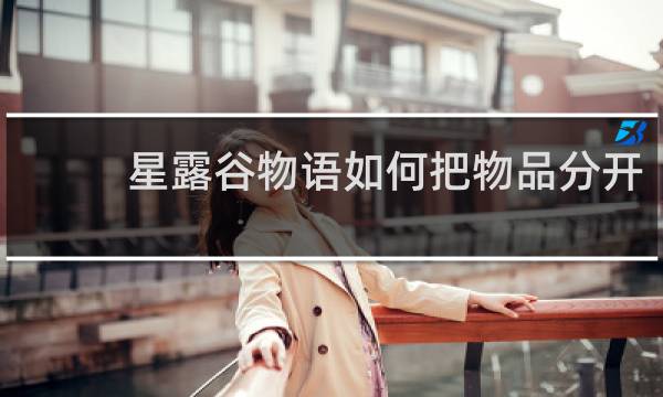 星露谷物语如何把物品分开