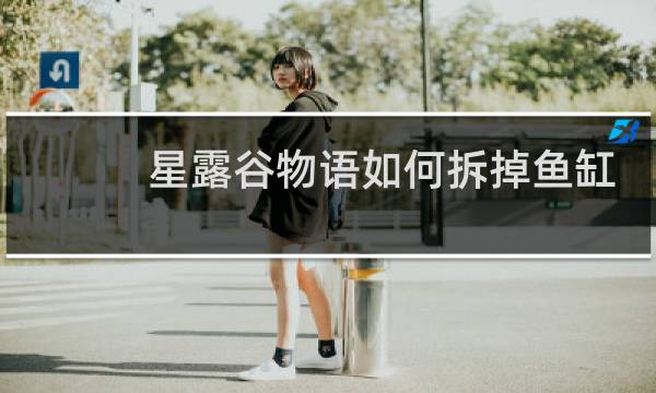 星露谷物语如何拆掉鱼缸