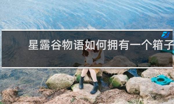 星露谷物语如何拥有一个箱子