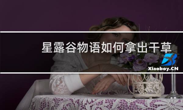 星露谷物语如何拿出干草
