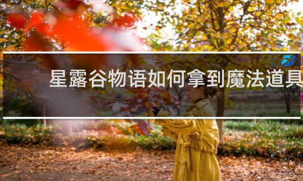 星露谷物语如何拿到魔法道具