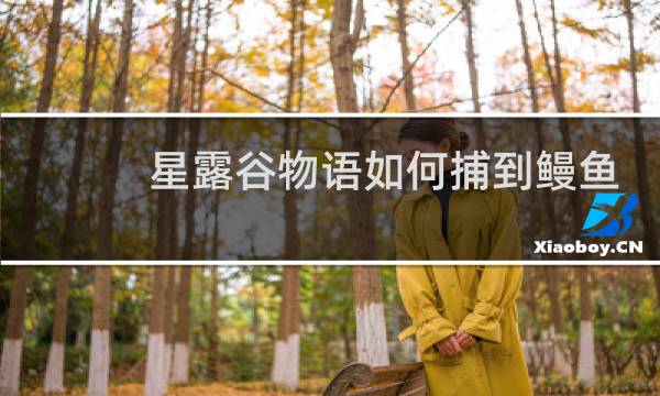 星露谷物语如何捕到鳗鱼
