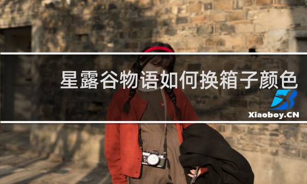 星露谷物语如何换箱子颜色