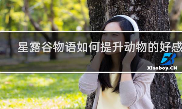 星露谷物语如何提升动物的好感值