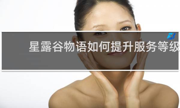 星露谷物语如何提升服务等级
