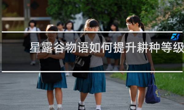 星露谷物语如何提升耕种等级