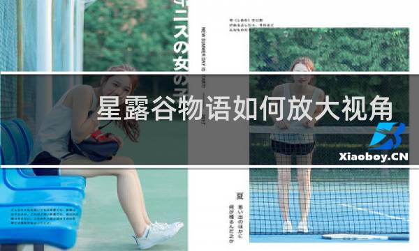 星露谷物语如何放大视角