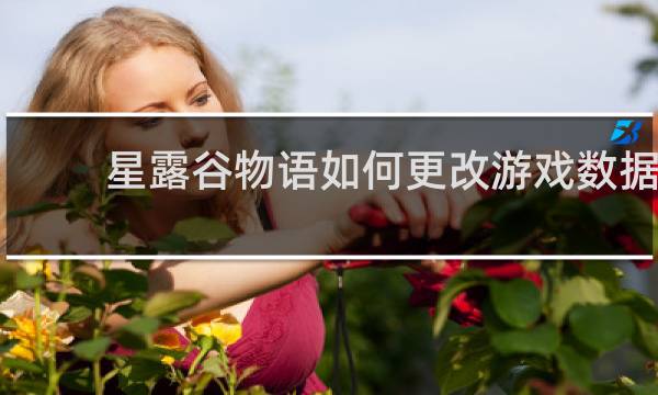 星露谷物语如何更改游戏数据