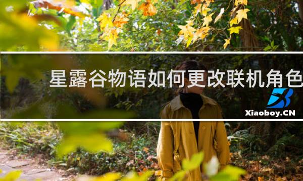 星露谷物语如何更改联机角色
