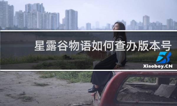 星露谷物语如何查办版本号