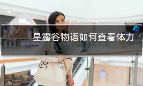 星露谷物语如何查看体力