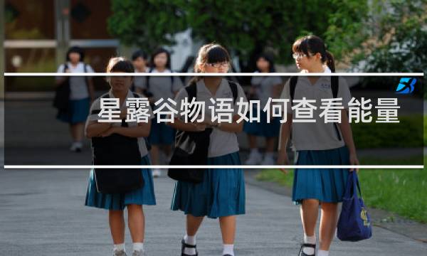 星露谷物语如何查看能量