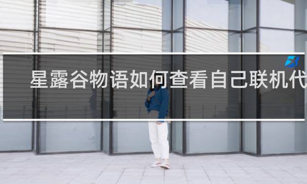 星露谷物语如何查看自己联机代码