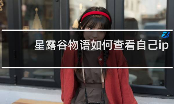星露谷物语如何查看自己ip