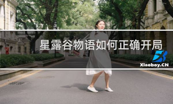 星露谷物语如何正确开局