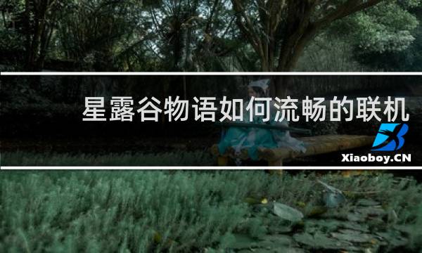 星露谷物语如何流畅的联机