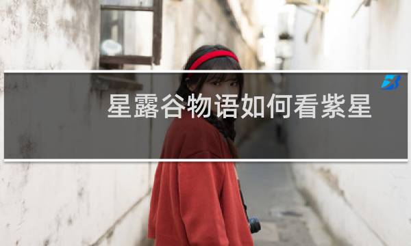 星露谷物语如何看紫星