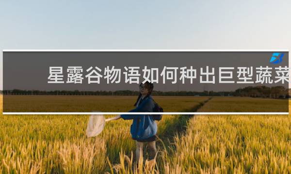 星露谷物语如何种出巨型蔬菜