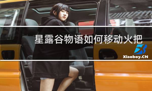 星露谷物语如何移动火把