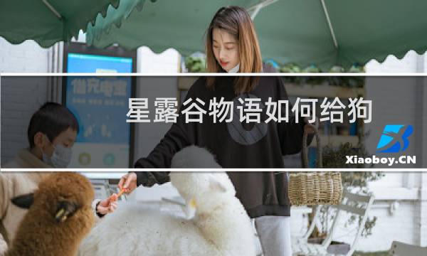 星露谷物语如何给狗