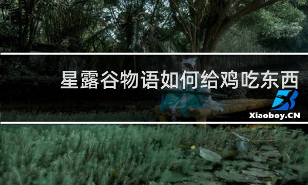 星露谷物语如何给鸡吃东西