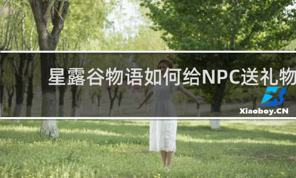 星露谷物语如何给NPC送礼物