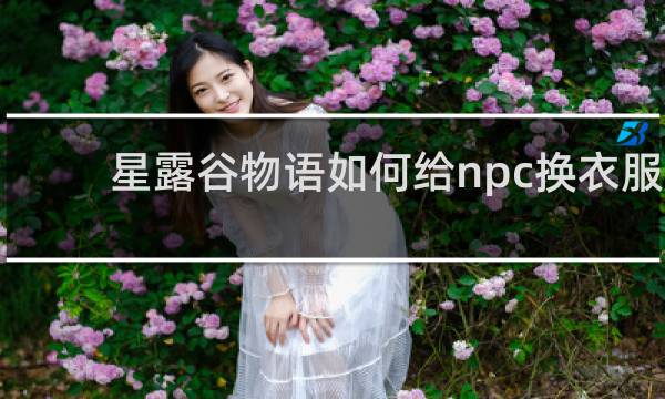 星露谷物语如何给npc换衣服
