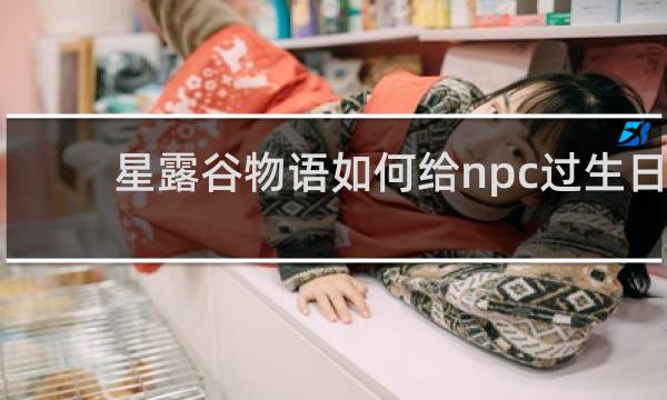星露谷物语如何给npc过生日